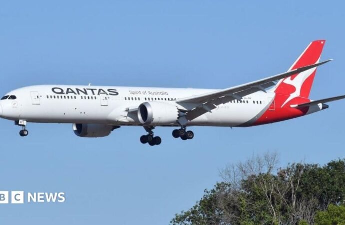 Qantas flight grounded after bedbug outbreak