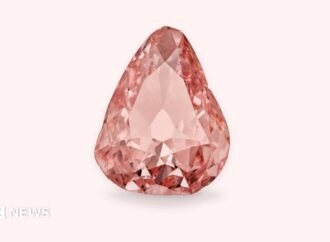 Rare pink diamond goes on display in France 100 years after amateur heist