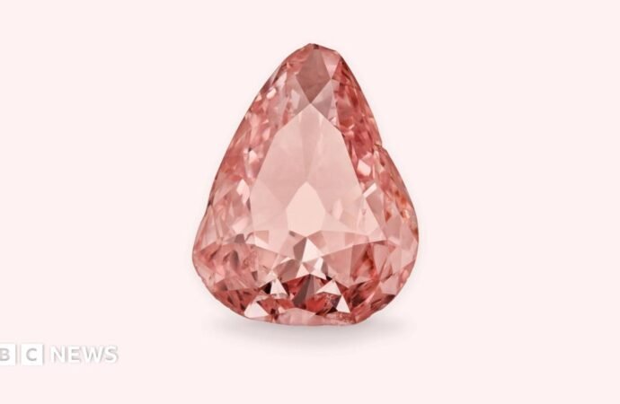 Rare pink diamond goes on display in France 100 years after amateur heist