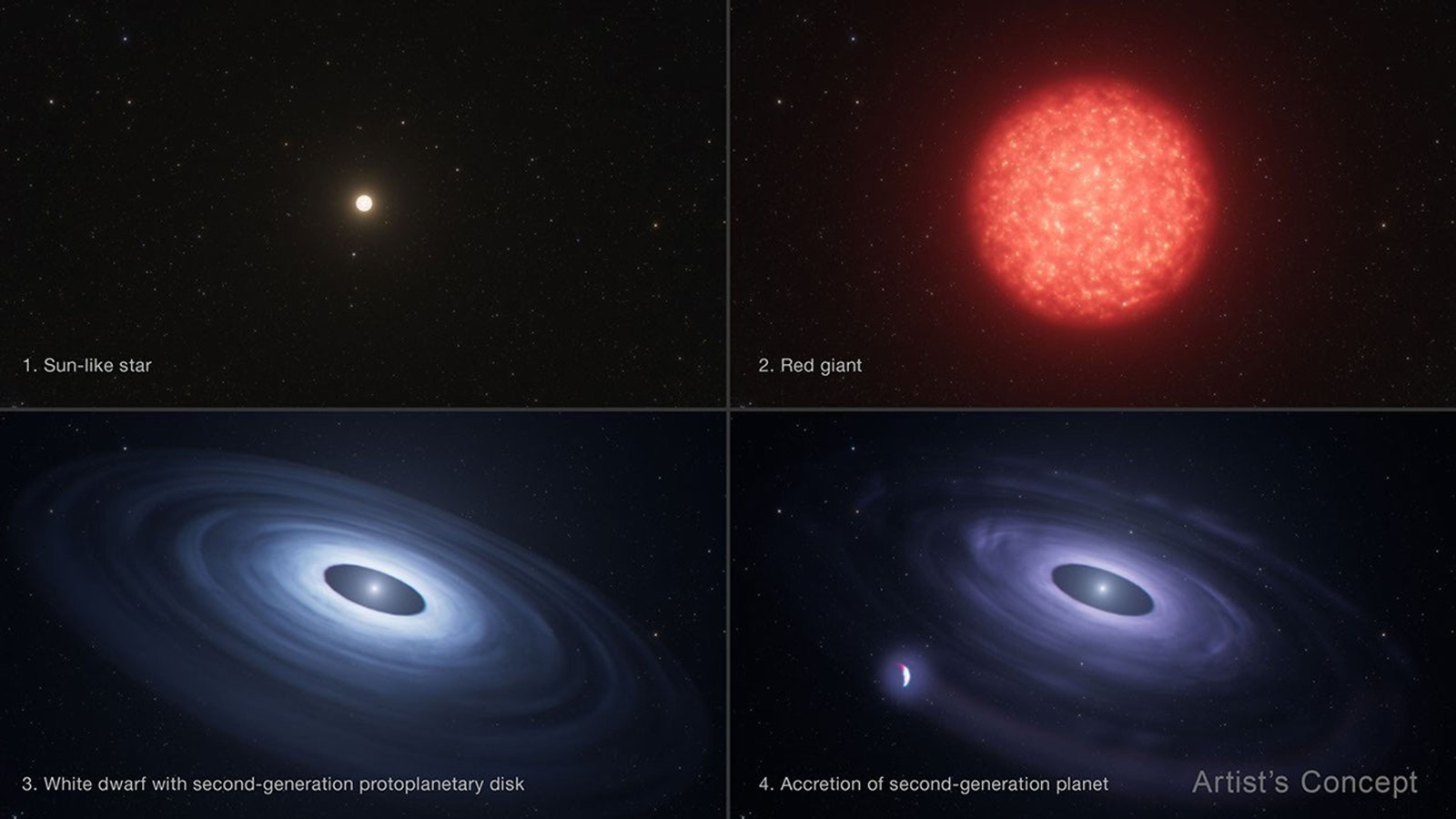 Illustration divided into quadrants, showing the evolution of a star system over time. The upper left is labeled 1. Sun-like star. It shows a small, glowing yellow star centered with other faint stars in the background of space. The upper right quadrant is labeled 2. Red giant. It shows a much larger, puffy orange-red star with a yellow glow within. The bottom left quadrant is labeled 3. White dwarf with second-generation protoplanetary disk, showing a bright white star, smaller than the original Sun-like star, surrounded by a glowing dusty blueish-white disk that is brighter closer to the star. The lower right quadrant is labeled 4. Accretion of a second-generation planet. It shows a similar star to quadrant 3, but the disk is reduced in size and is more purple in color. A planet orbits to the lower left of the star. The planet is larger than the star and has a faint tail leading back to the disk around the star.