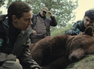 Serielizados Prizes: Hagai Levi’s ‘Etty’ and ‘Astonishing’ ‘Killing a Bear’ Win Big as ‘El Observatorio’ Bags the Mind the Gap Pitch Prize