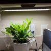 Short Days, Happy Plants: The Best Grow Lights for Winter