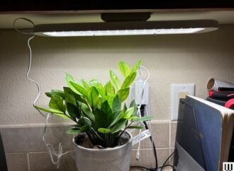 Short Days, Happy Plants: The Best Grow Lights for Winter