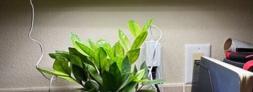 Short Days, Happy Plants: The Best Grow Lights for Winter