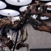 Skeleton of newly-discovered Nanotyrannus auctioned for $47.3m in New York