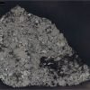 Slice of Martian Meteorite Teghaza 001 – NASA Science