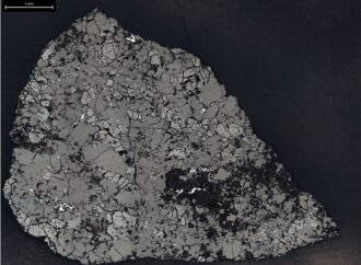 Slice of Martian Meteorite Teghaza 001 – NASA Science