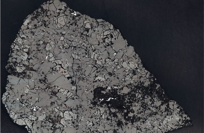 Slice of Martian Meteorite Teghaza 001 – NASA Science