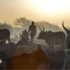 South Sudan cattle raids: Co-oridanted attacks kill at least 72 people in Warrup state
