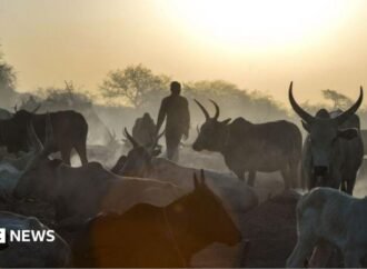South Sudan cattle raids: Co-oridanted attacks kill at least 72 people in Warrup state