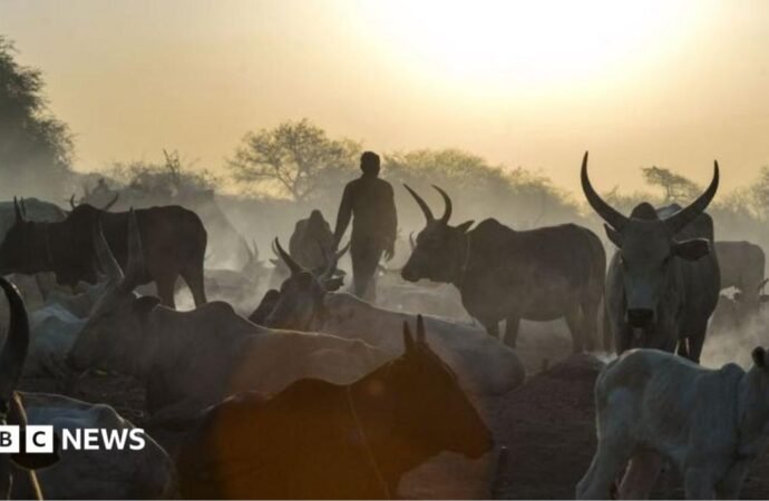 South Sudan cattle raids: Co-oridanted attacks kill at least 72 people in Warrup state