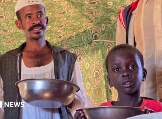 Sudan war: West warns of famine risk