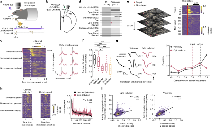 Targeted stimulation of motor cortex ensembles drives learned movements – Nature