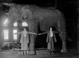 The ‘Father of Modern Taxidermy’ wrestled leopards and worked for P.T. Barnum