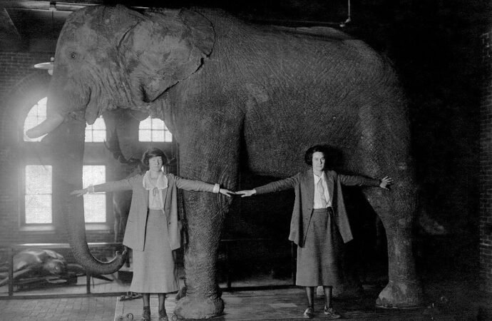The ‘Father of Modern Taxidermy’ wrestled leopards and worked for P.T. Barnum