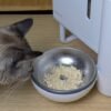 The Future of Wet Cat Food Dispensers Is Here. My Review of Neakasa Riko – CNET