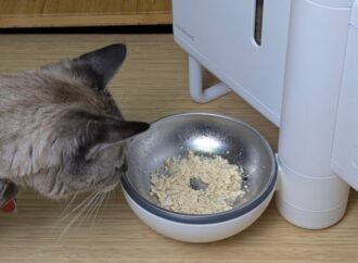 The Future of Wet Cat Food Dispensers Is Here. My Review of Neakasa Riko – CNET