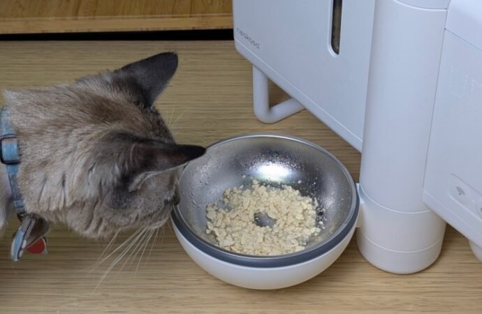The Future of Wet Cat Food Dispensers Is Here. My Review of Neakasa Riko – CNET