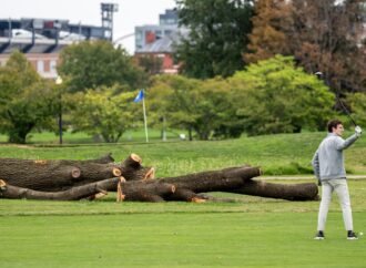 The National Park Service will remove more than 500 trees ‘that do not contribute to the historic landscape’ from a golf course Trump is redesigning | Fortune