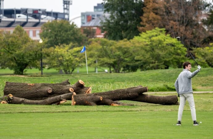 The National Park Service will remove more than 500 trees ‘that do not contribute to the historic landscape’ from a golf course Trump is redesigning | Fortune