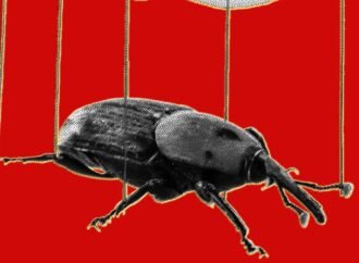 The PHP Meltdown Shows How AI Makes Bugs More Exploitable