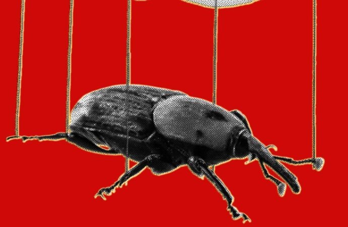 The PHP Meltdown Shows How AI Makes Bugs More Exploitable