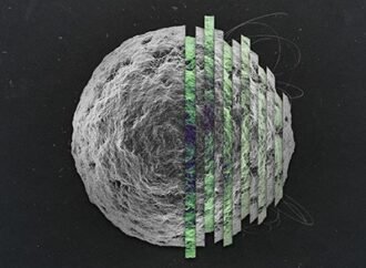 The Selfish Gene, 50 years on — it’s time for an update