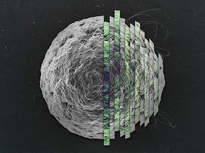 The Selfish Gene, 50 years on — it’s time for an update