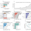 The scariest thing about gray-market peptides is how little we know