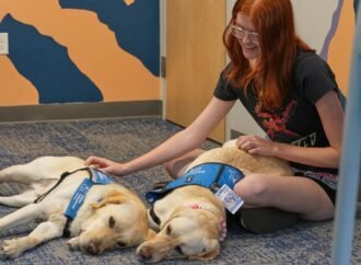 Therapy dogs bring calm and joy to students after shooting at Colorado high school