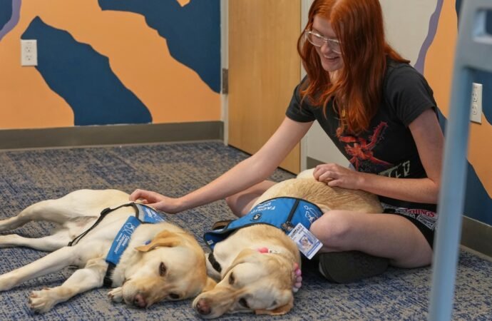 Therapy dogs bring calm and joy to students after shooting at Colorado high school