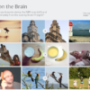 This ‘Mind-Reading’ AI Is a Wiz at Figuring Out What You See – CNET