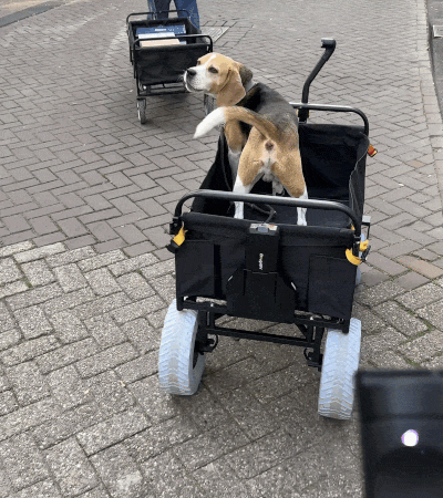 This remote-controlled wagon is silly but so very useful