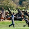 Trump posted that a public D.C. golf course would close for 15 months — his own officials can’t confirm it and a judge is opening a ‘formal inquiry’ | Fortune