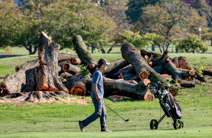 Trump posted that a public D.C. golf course would close for 15 months — his own officials can’t confirm it and a judge is opening a ‘formal inquiry’ | Fortune