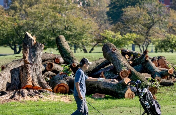 Trump says he will close historic DC golf course for 15 months of renovations