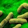 US ‘watching closely’ after plague researcher dies in Russia