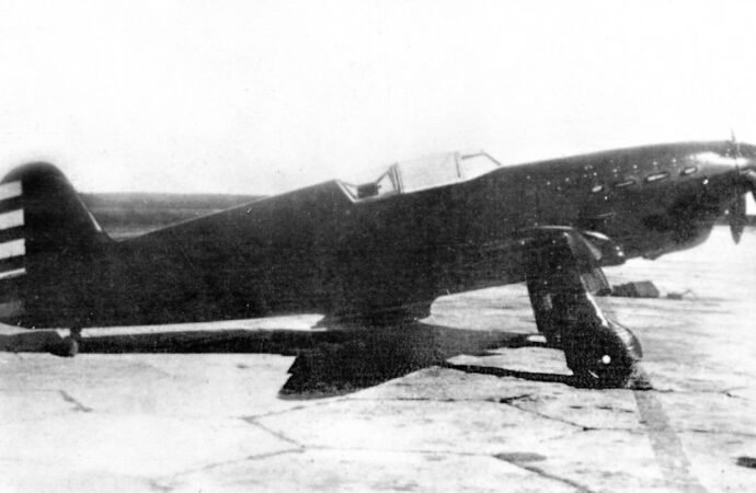 WWII fighter plane crash found in Hungary after nearly 80 years