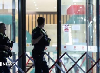 Warning signs over threats to Australian politicians were rising before MP hit by car