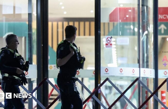Warning signs over threats to Australian politicians were rising before MP hit by car
