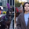 Watch: New York bans horse-drawn carriages after more than 160 years