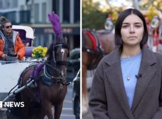 Watch: New York bans horse-drawn carriages after more than 160 years