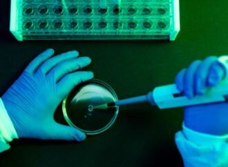What to Know About Shamonda Virus Following the First Reported Human Infection