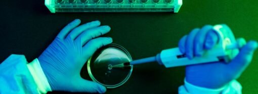What to Know About Shamonda Virus Following the First Reported Human Infection