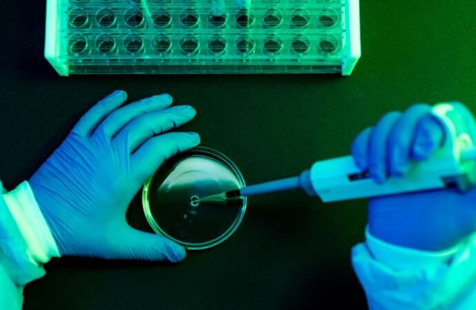 What to Know About Shamonda Virus Following the First Reported Human Infection