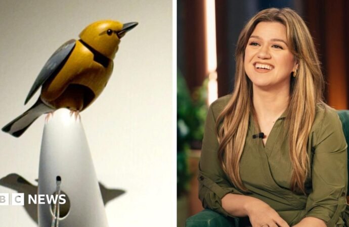 What’s going on between Kelly Clarkson and a Brooklyn store bird?