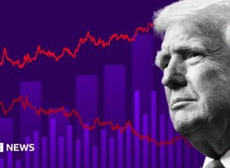 Where the US midterm elections will be won and lost