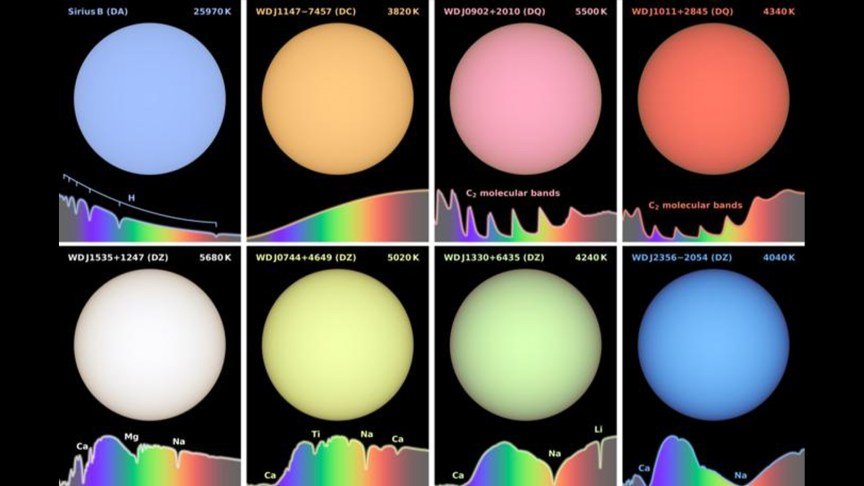 A series of eight white dwarf stars, all in different colors.