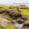 Why are bogs so good at preserving dead bodies?