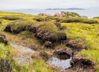Why are bogs so good at preserving dead bodies?